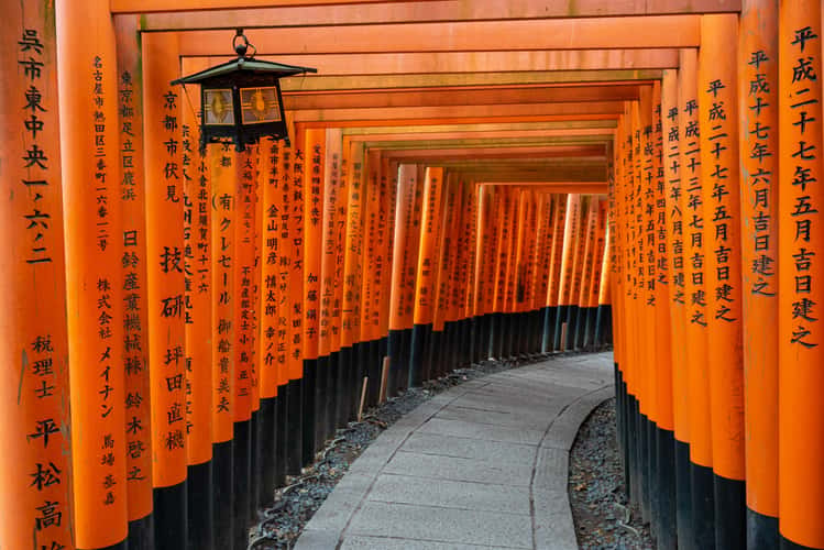 Japan — study destination for Pakistani students